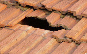 roof repair Wynyard Village, County Durham